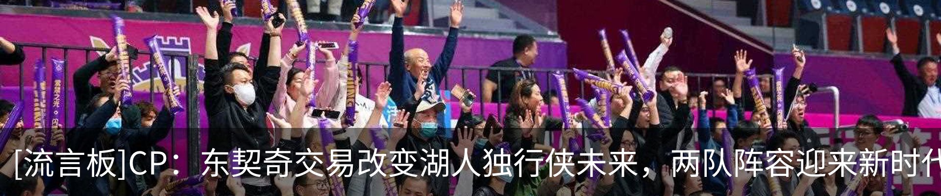 新闻动态
